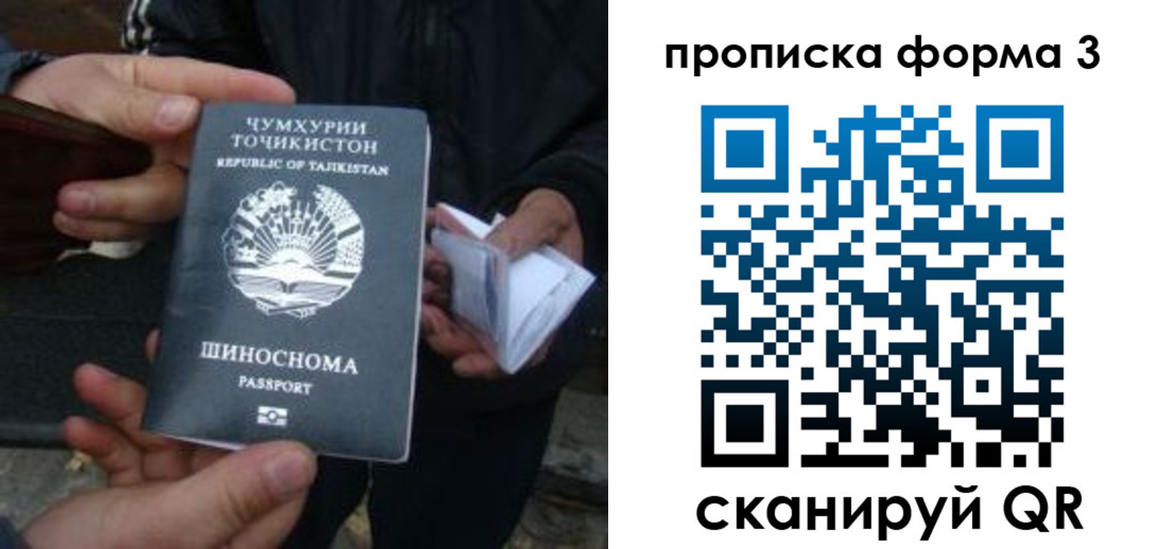 прописка 2025 в Сальске